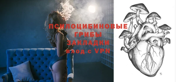 apvp Краснослободск