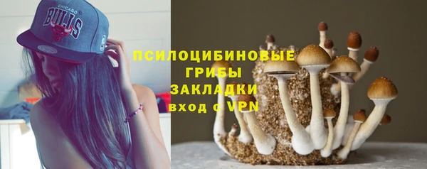 ешки Куйбышев