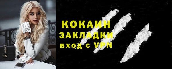 apvp Краснослободск