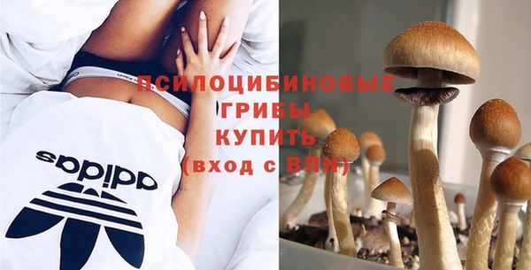 ешки Куйбышев