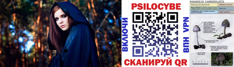 Псилоцибиновые грибы прущие грибы  дарк нет какой сайт  Малгобек 