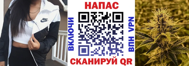 Шишки марихуана Amnesia Малгобек